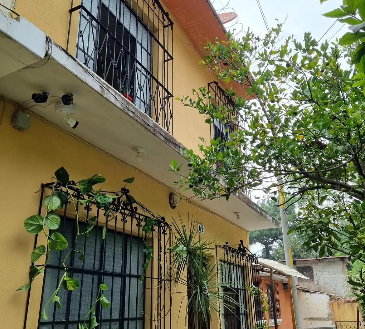 Hostel Mazaryk Bed And Breakfast Antigua Gwatemala
